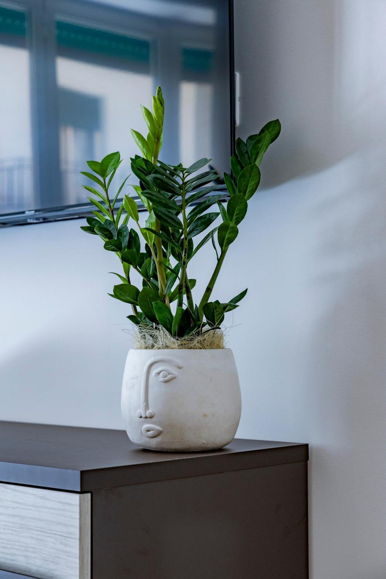 Hotel Urban Oasis Bari Zewnętrze zdjęcie